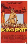 king rat.jpg
